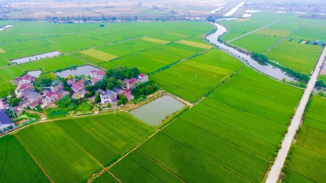 南京高标准农田建设与美丽乡村打造相结合，风景如画。 溧水区农业农村局供图